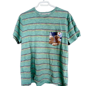 BROOKS BROTHERS Blue Striped Tshirt size L. Good used condition. 100% cotton